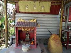 WhatsApp Image 2020-03-13 at 12.25.13