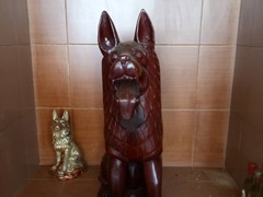 WhatsApp Image 2020-03-13 at 12.29.14